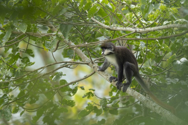 Ewa Przeździecka wildlife photography, Ewa Przeździecka fotografia przyrody
